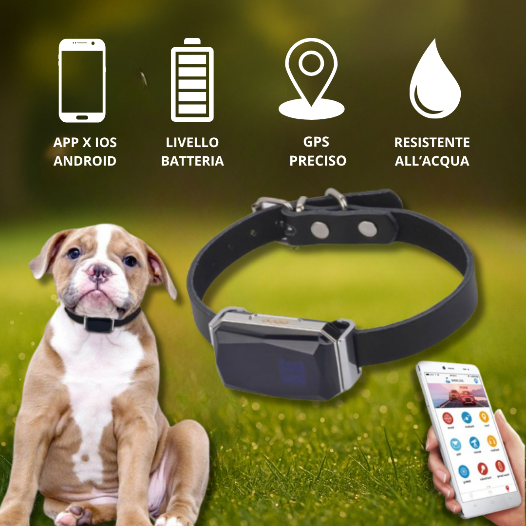 Localizzatore GPS per Cani e Gatti|Anti-Smarrimento