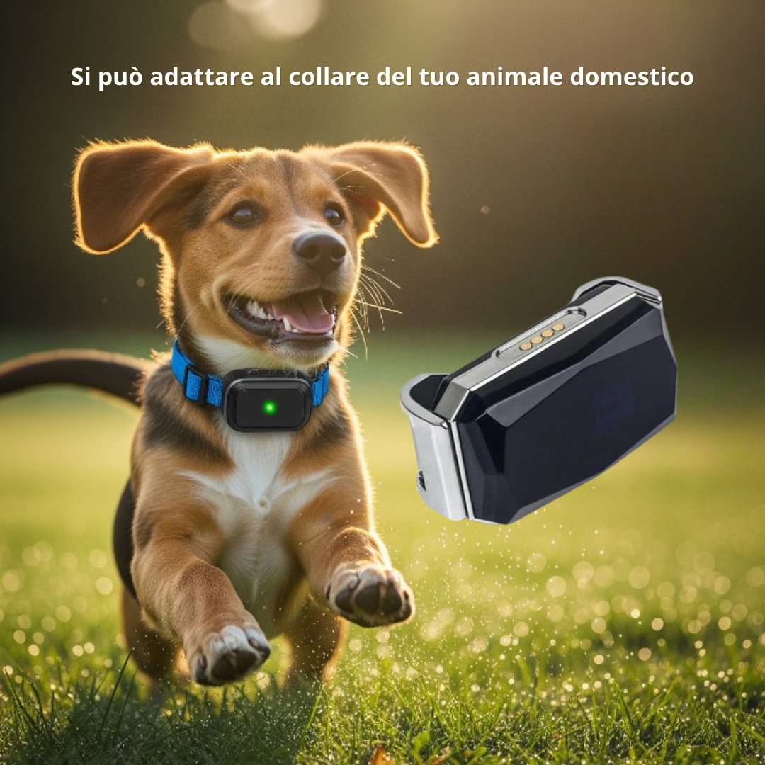 Localizzatore GPS per Cani e Gatti|Anti-Smarrimento